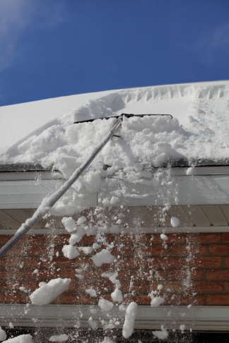 Snow Roof Rake